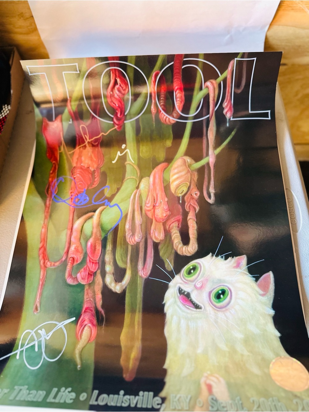 Official Tool SIGNED kitty Foil Poster Louder Than Life 2026 KUNO #96/760